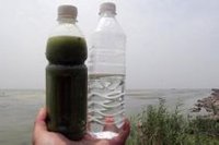 安徽巢湖水樣(左)與飲用水對(duì)比 安徽巢湖水樣(左)與飲用水對(duì)比